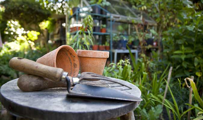 como tener un jardin eco amigable